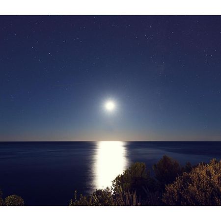 Condo With A Breathtaking View Dubrovnik Bagian luar foto